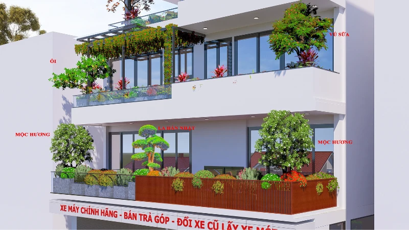 THIẾT KẾ - ĐL Xe Máy Toàn Trung